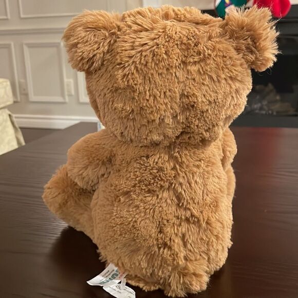 Baby Gund Storytime Cub Bear with Book Storytelling bear Excellent Condition 12” - Picture 5 of 7